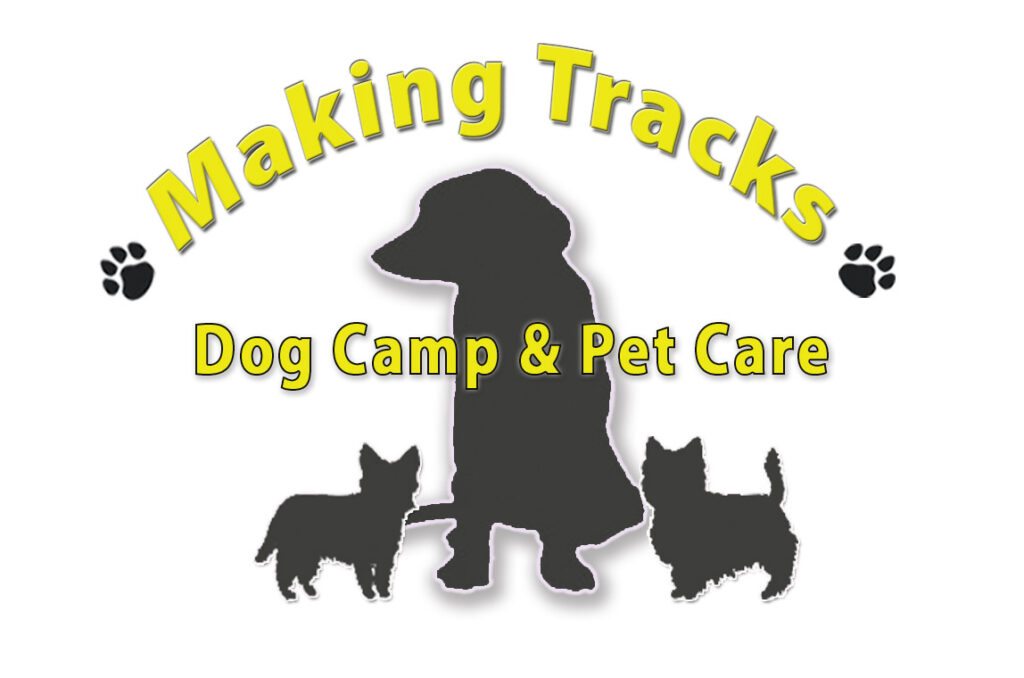 Making Tracks Dog Camp and Pet Care